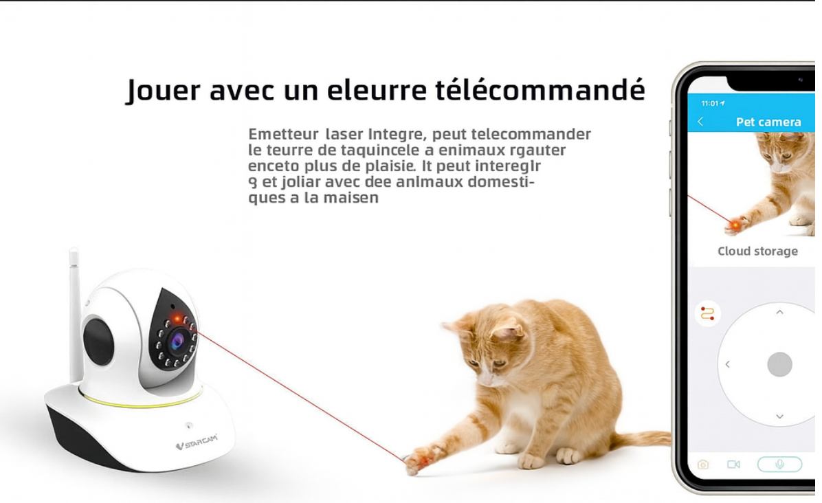 Caméra de surveillance