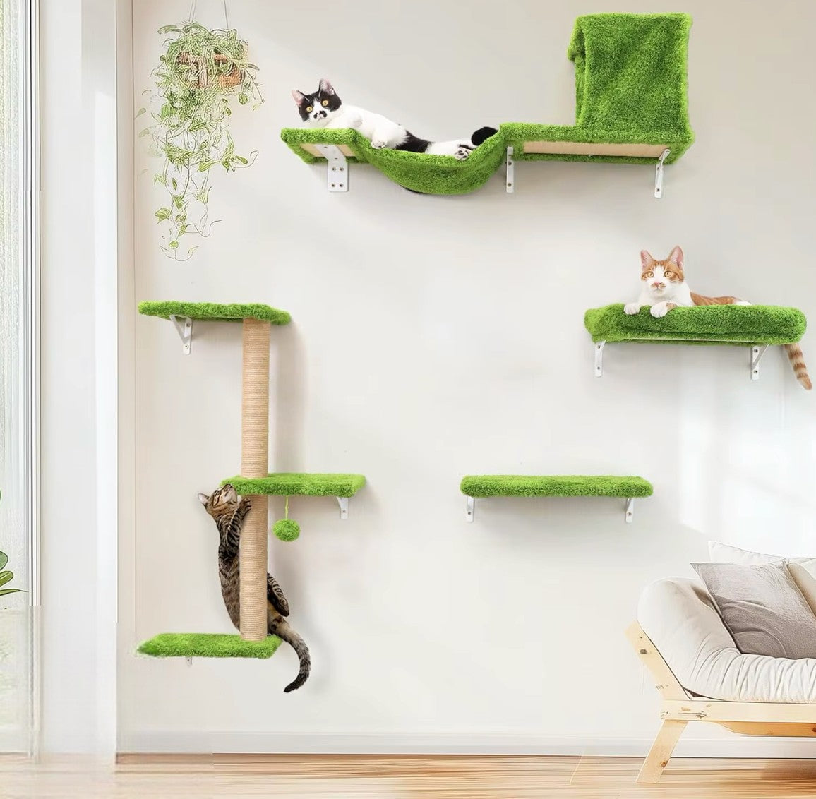 Parcours mural pour chat