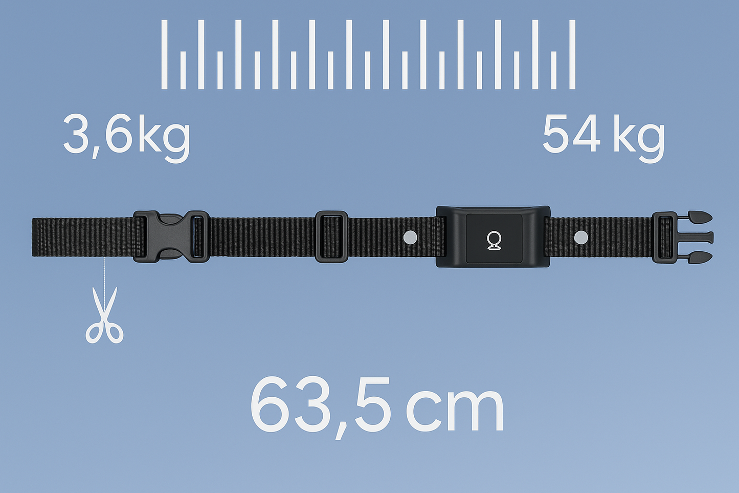 Collier gps pour chat