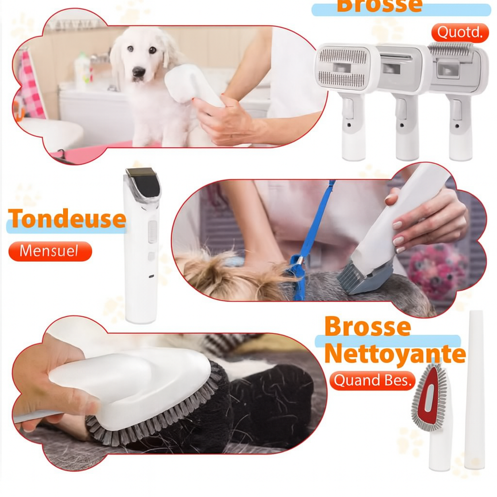 Aspirateur Multifonctions