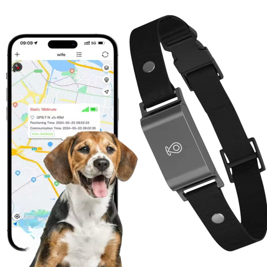 Collier gps pour chien
