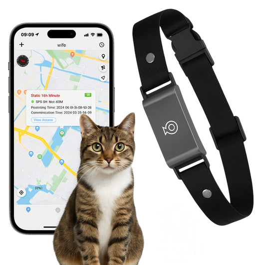 Collier gps pour chat