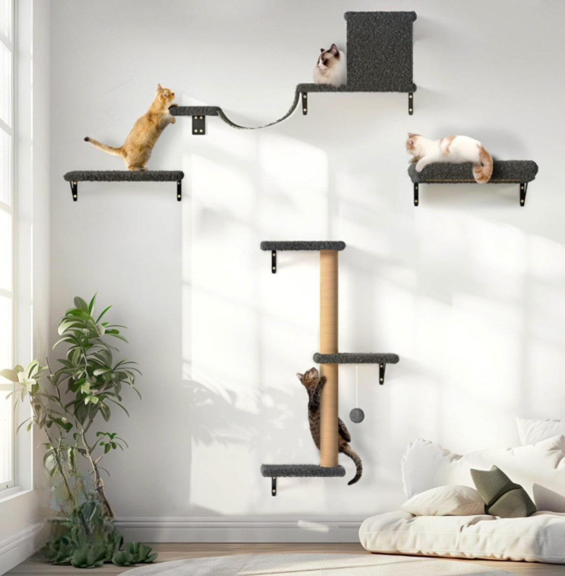 Parcours mural pour chat