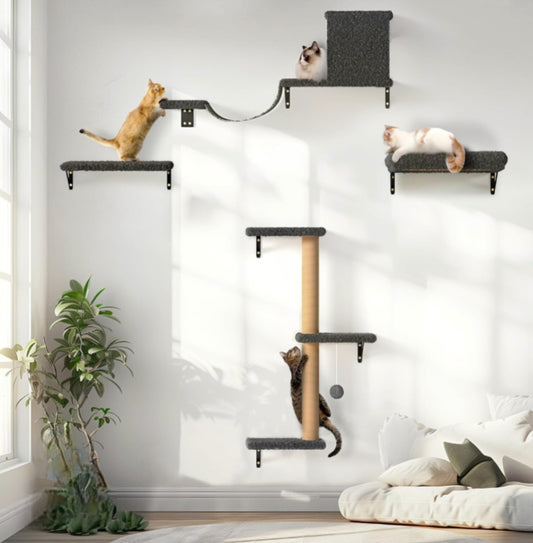 Parcours mural pour chat