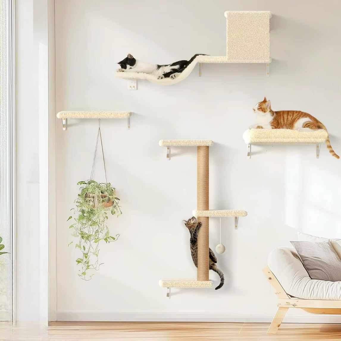 Parcours mural pour chat