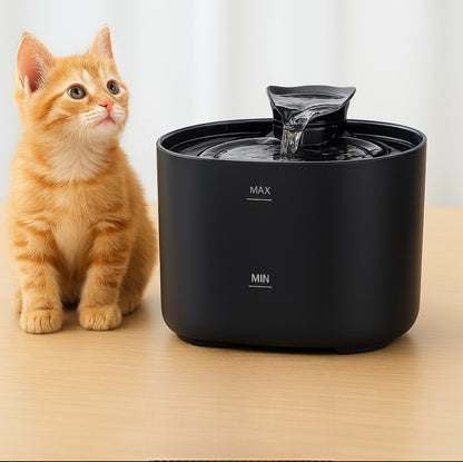 Fontaine à eau pour chat