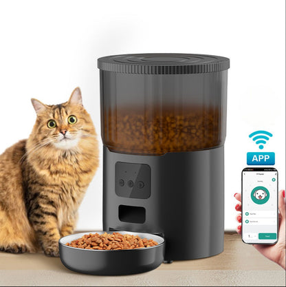 Distributeur automatique de croquettes pour chat