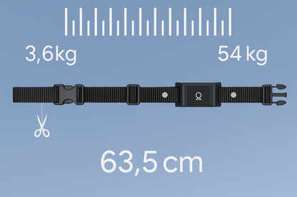 Collier gps pour chat
