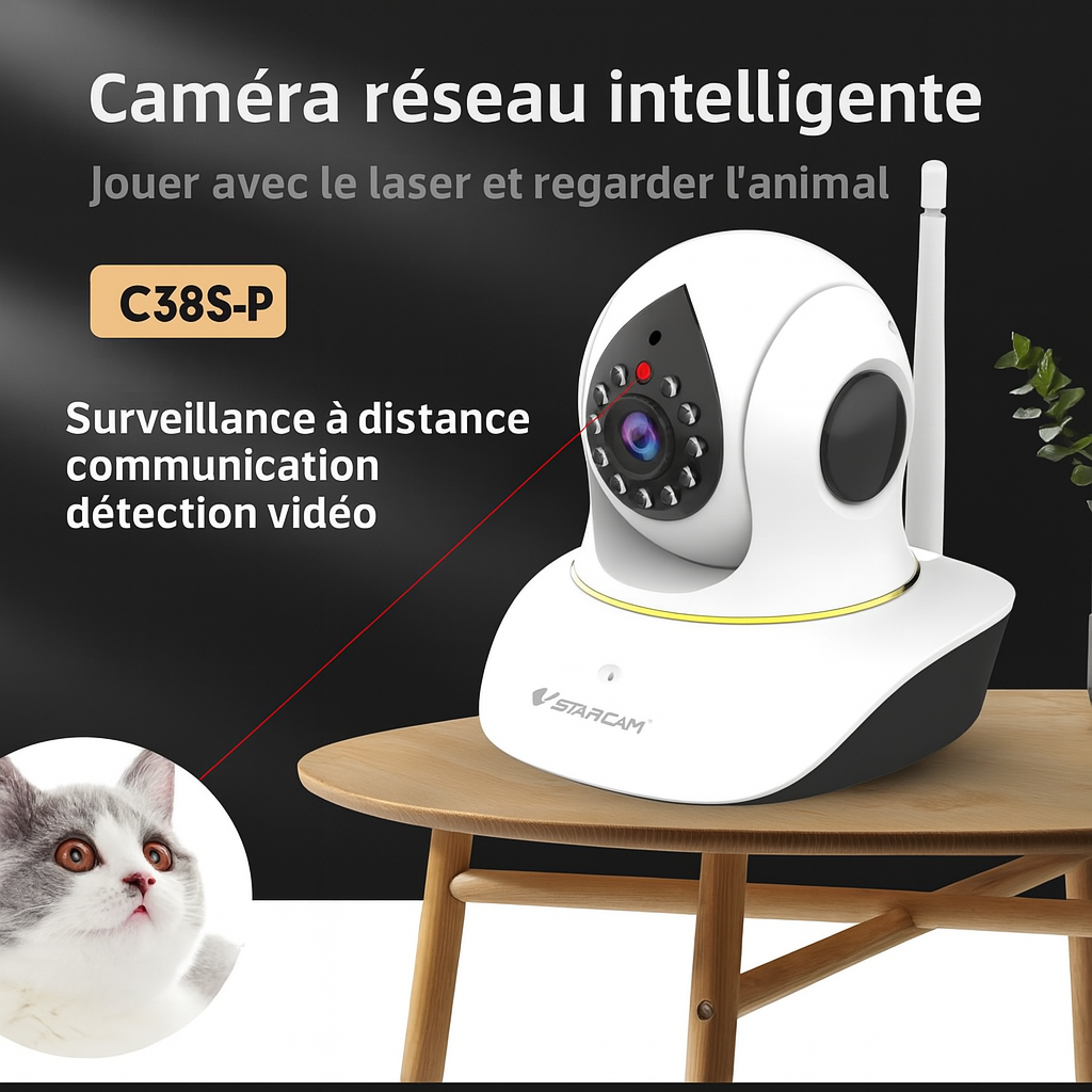 Caméra de surveillance