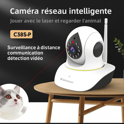 Caméra de surveillance