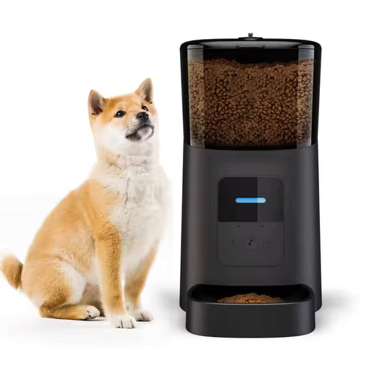 Distributeur de croquettes pour chien